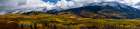 USA-Colorado. Light dappled Aspen forests-Kebler Pass-Gunnison National Forest Art Print